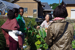 和歌山田辺で訪れた農家にて